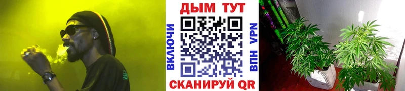 Где можно купить наркотики Железногорск Каннабис  OMG рабочий сайт  Псилоцибиновые грибы  Амфетамин  ГАШИШ  СК  COCAIN 